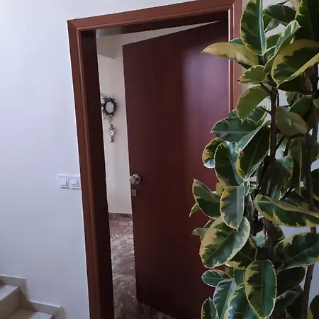 Up Trikala (Thessaly)